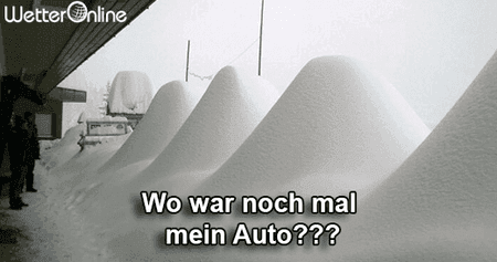 auto_socials.png