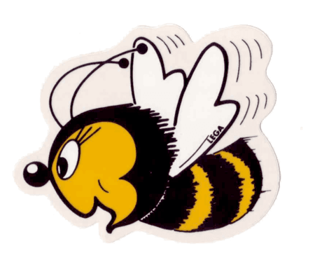 100x100xBiene.png.pagespeed.ic.XJlyQ5k-EY.png