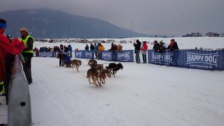 DSC_0193.jpg