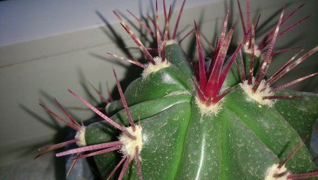 20140206_080651.jpg