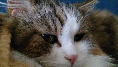 20140207_123241.jpg