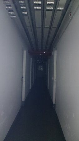 DSC_0079.jpg