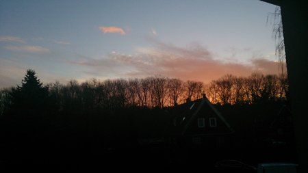 DSC_0018.jpg