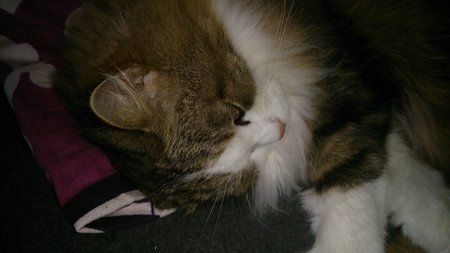 DSC_0022.jpg