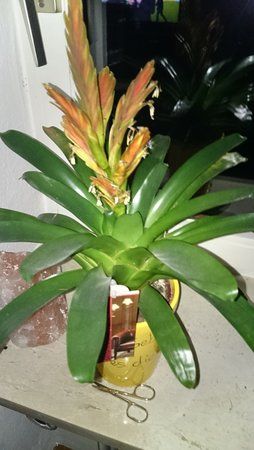 DSC_1149.jpg