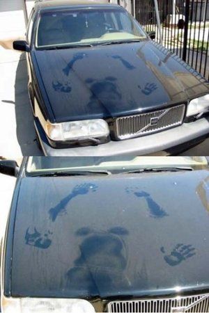 spuren_im_staub_sex_auf_auto.jpg