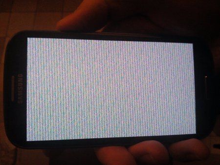 1925383_10200734854408469_1383482450_o.jpg