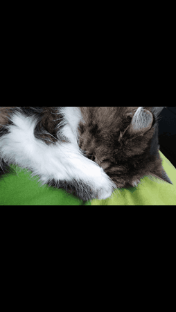 Screenshot_2014-02-16-12-42-52.png