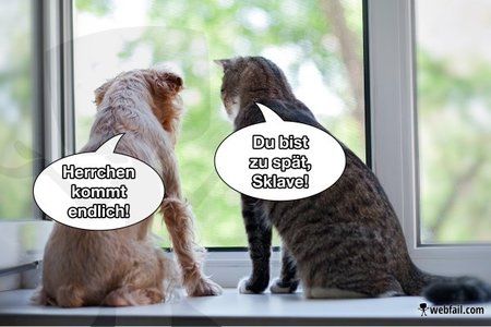 postskl.jpg