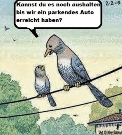 Vögel-unter-SIch-400x505.jpg