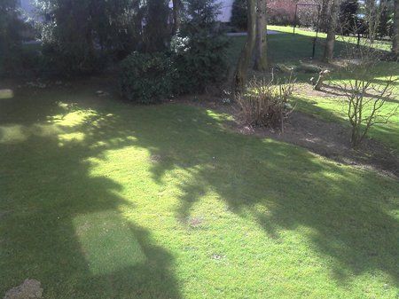 2011-03-07_11-34-28_469.jpg