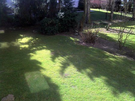 2011-03-07_11-34-28_469-2.jpg