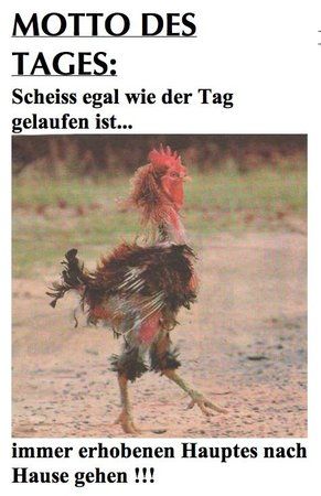 Hahn.JPG
