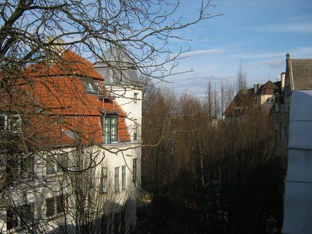 IMG_2335.jpg