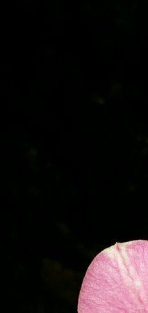 uploadfromtaptalk1393686466471.jpg