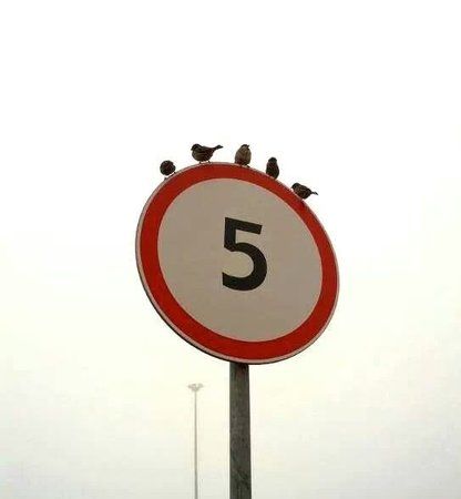 55555.jpg