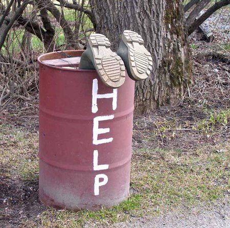 root.jpg