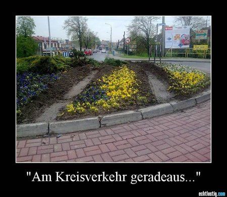 a.jpg