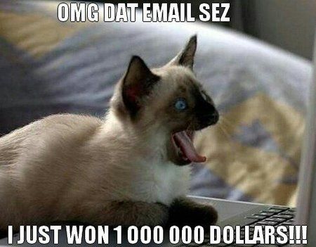 uploadfromtaptalk1394187517344.jpg