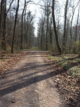 20140307_121639.jpg