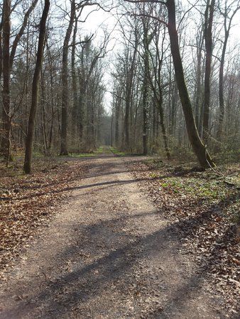 20140307_121642.jpg
