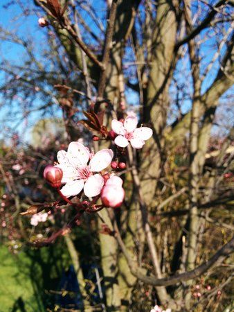 2014-03-09 15.00.12.jpg