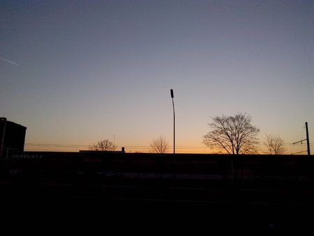 IMG_20140310_070349.jpg