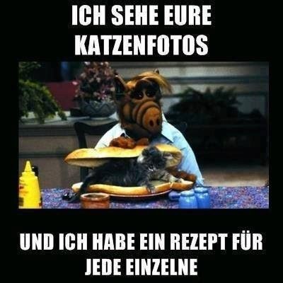 postkatze2.jpg