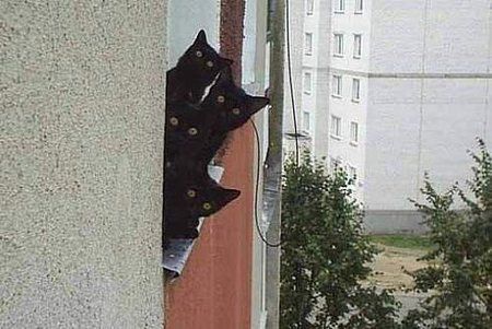 Bir9d6ZCUAAPd4q.jpg