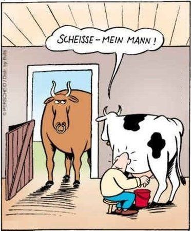 uhpuetcfen0.jpg
