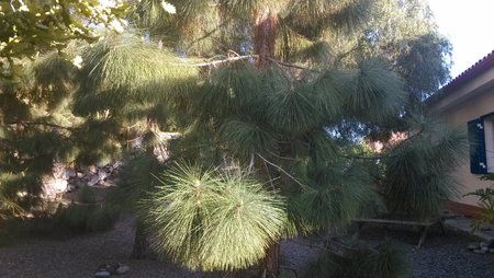 IMG_20140316_174414Camera-VF.jpg