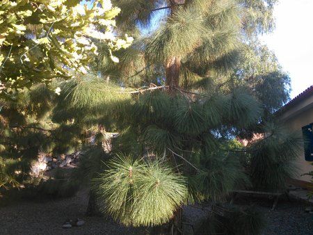 PC_20140316_174433PerfectlyClear.jpg
