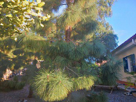 20140316_175243_HDRBetterCamera.jpg