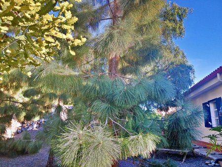 PC_20140316_175303_hdr_PerfectlyClear.jpg