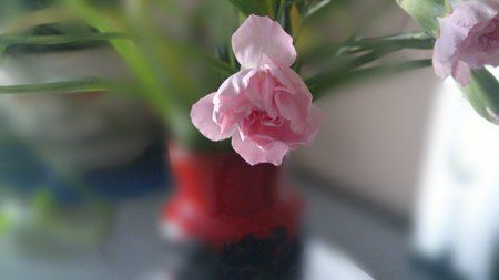 20140311_144127.jpg