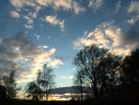 IMG_20131109_161703.jpg