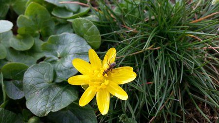 20140321_130452.jpg
