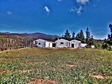PC_20140322_122215_hdr_PerfectlyClear.jpg