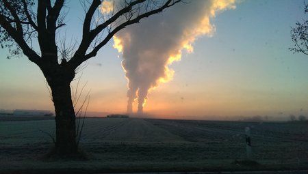 IMAG0115.jpg