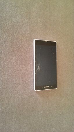 IMAG0467.jpg