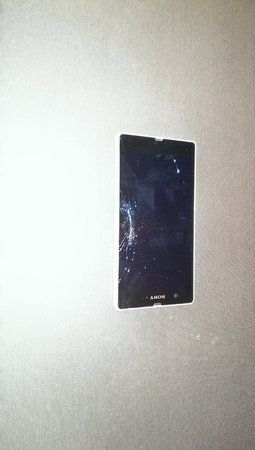IMAG0466.jpg