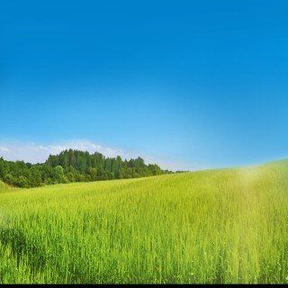 weather_bg.jpg