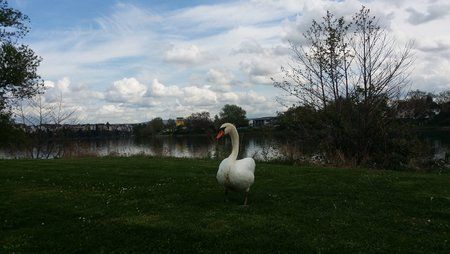 20140407_122434.jpg
