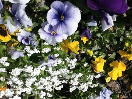 20140407_145226.jpg