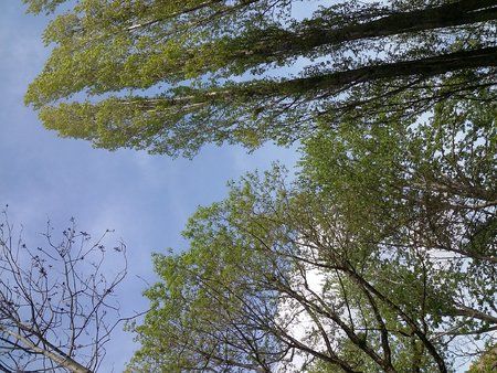 20140407_145851.jpg