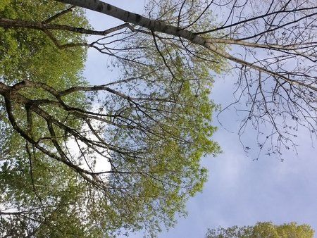 20140407_145833.jpg