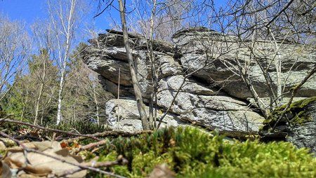 2014-03-20 12.23.55.jpg