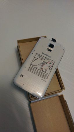 IMAG0060.jpg
