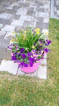IMG_20140411_174109.jpg