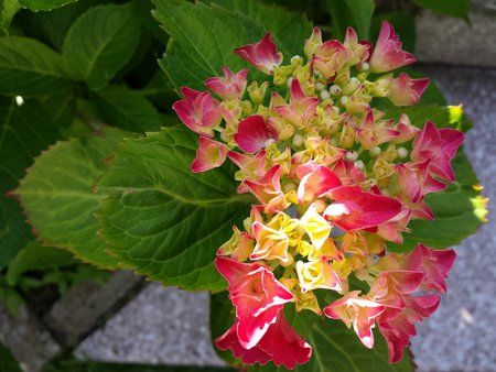 20130710_180354.jpg